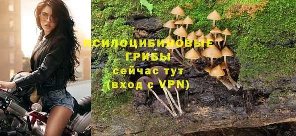 прущие грибы Гусиноозёрск