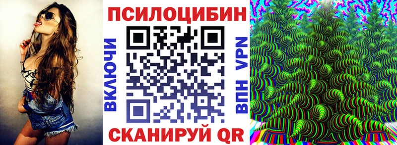закладки  Духовщина  Псилоцибиновые грибы Magic Shrooms 